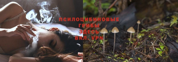 эйфоретик Арсеньев