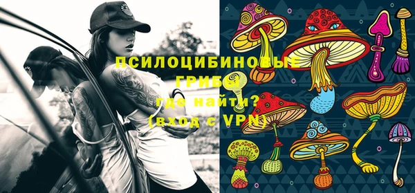 тгк Зеленодольск