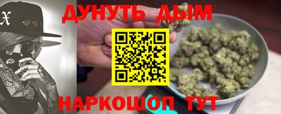 гидра Гай