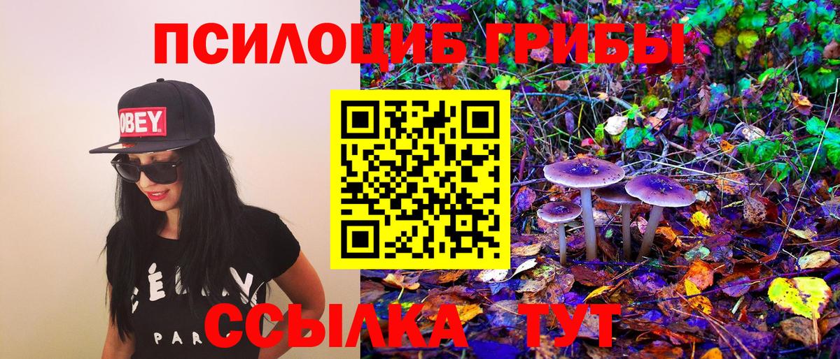 Псилоцибиновые грибы Psilocybine cubensis Кунгур