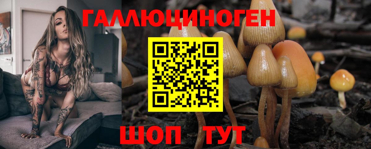 Галлюциногенные грибы мухоморы  Псилоцибиновые грибы ЛСД  Кунгур  Вход с VPN 