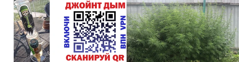 Шишки марихуана планчик  площадка какой сайт  Кунгур 